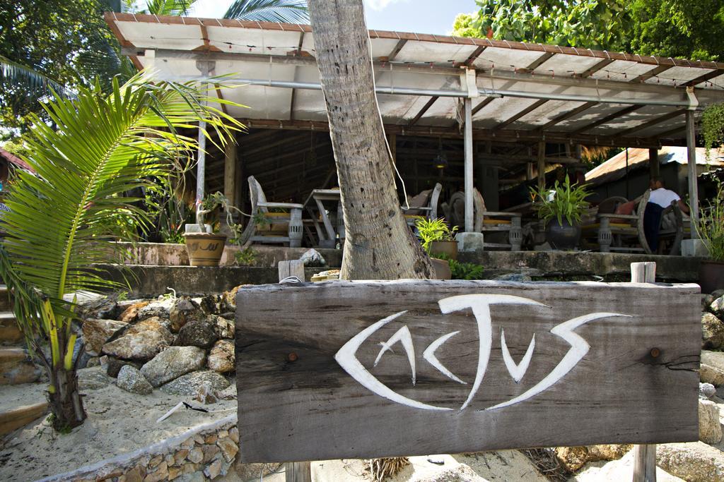 קו סמוי Cactus Bungalow מראה חיצוני תמונה