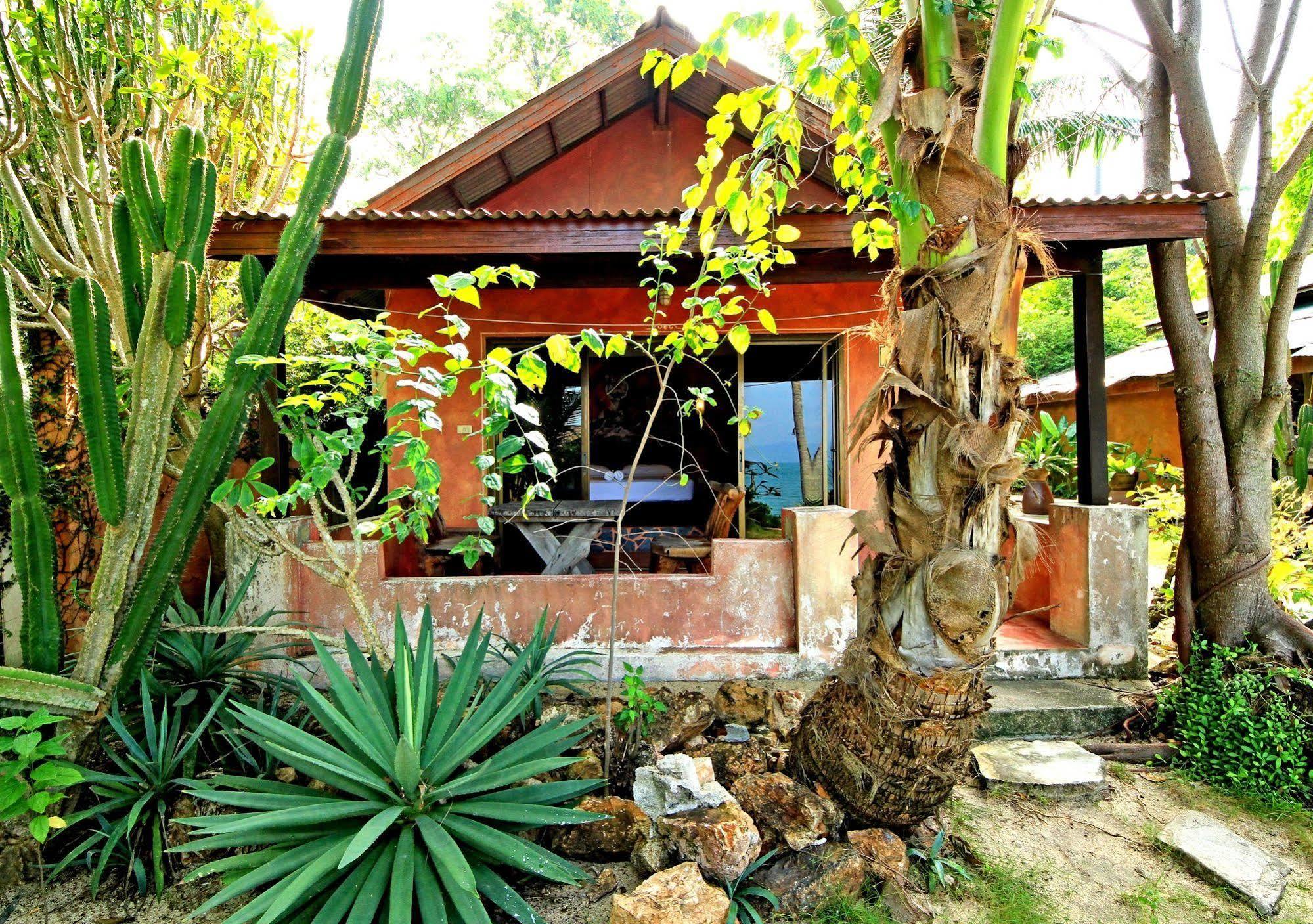 קו סמוי Cactus Bungalow מראה חיצוני תמונה